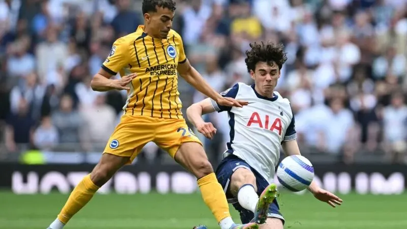 Trận đấu giữa Brighton vs Tottenham khả năng cao kết thúc với một tỷ số hòa Trận đấu giữa Brighton vs Tottenham khả năng cao kết thúc với một tỷ số hòa