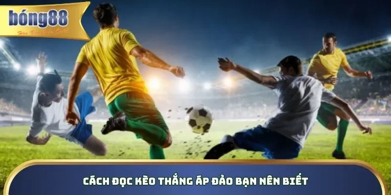 Cách đọc kèo thắng áp đảo bạn nên biết Cách đọc kèo thắng áp đảo bạn nên biết