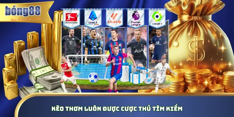 Kèo thơm luôn được cược thủ tìm kiếm Kèo thơm luôn được cược thủ tìm kiếm