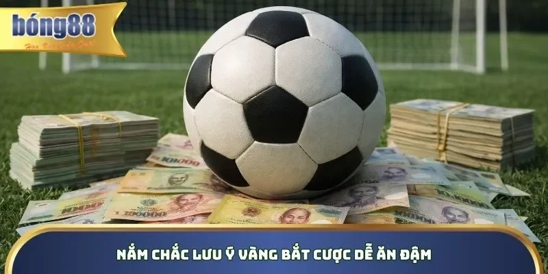 Nắm chắc lưu ý vàng bắt cược dễ ăn đậm Nắm chắc lưu ý vàng bắt cược dễ ăn đậm