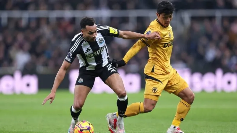 Khả năng cao Newcastle sẽ giành được 3 điểm ở trận đấu này Khả năng cao Newcastle sẽ giành được 3 điểm ở trận đấu này