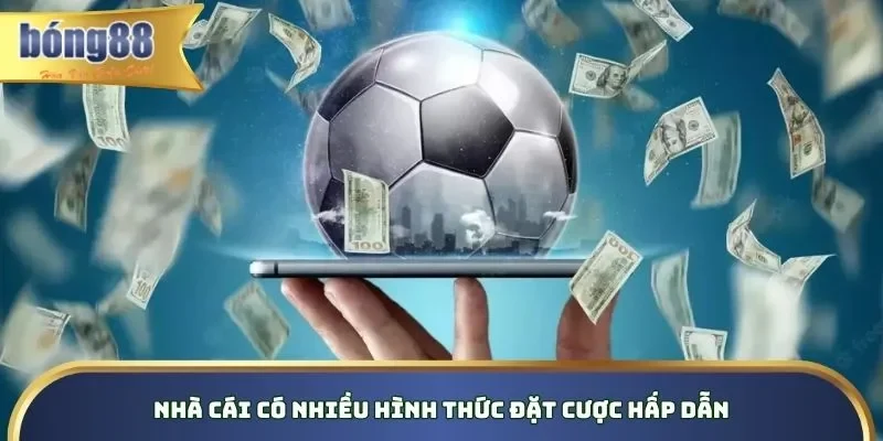 Nhà cái có nhiều hình thức đặt cược hấp dẫn Nhà cái có nhiều hình thức đặt cược hấp dẫn