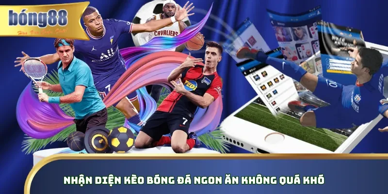 Nhận diện kèo bóng đá ngon ăn không quá khó Nhận diện kèo bóng đá ngon ăn không quá khó