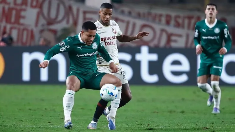 Palmeiras sẽ không để xảy ra bất cứ sai lầm nào trước đối thủ yếu hơn Palmeiras sẽ không để xảy ra bất cứ sai lầm nào trước đối thủ yếu hơn