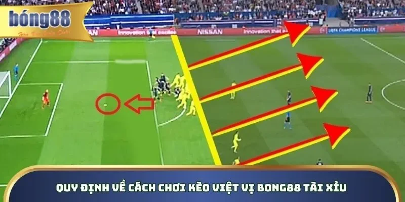 Quy định về cách chơi kèo việt vị Bong88 tài xỉu Quy định về cách chơi kèo việt vị Bong88 tài xỉu