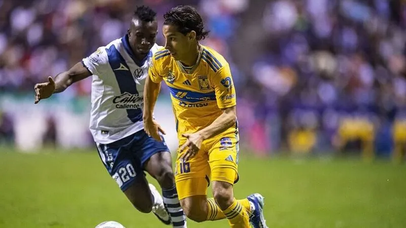 Tigres nhiều khả năng sẽ chỉ thắng Puebla với một tỉ số tối thiếu Tigres nhiều khả năng sẽ chỉ thắng Puebla với một tỉ số tối thiếu
